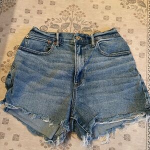 American Eagle Outfitters Blue Jean Shorts
